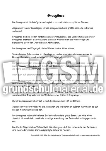 Graugänse-Text-zur-Präsentation-1.pdf